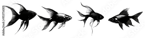 Black and White Fish Illustration