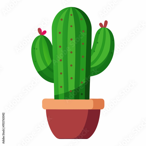 cactus in a pot