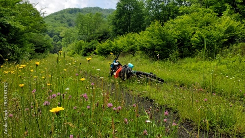 Bicycle Among Wildflowers on the West Fork Rail Trail, West Virginia