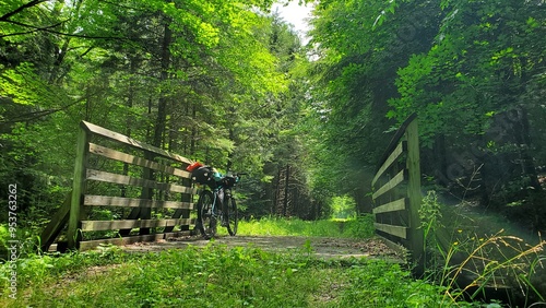 Bikepacking along the West Fork Trail, Glady, West Virginia photo