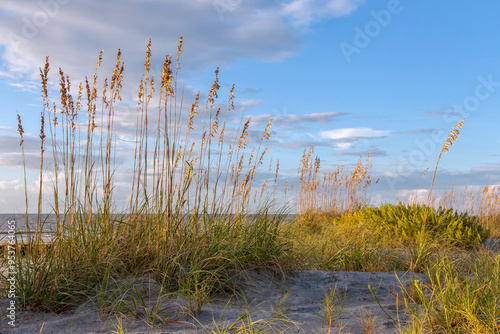 Sea Oats at Sunrise on the Beach photo