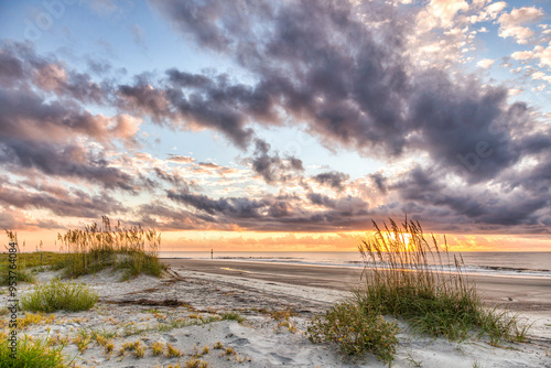 Sea Oats at Sunrise