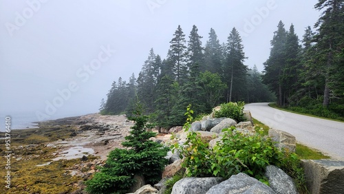 Schoodic Empty Coastal Road, Schoodic Peninsula, Maine photo