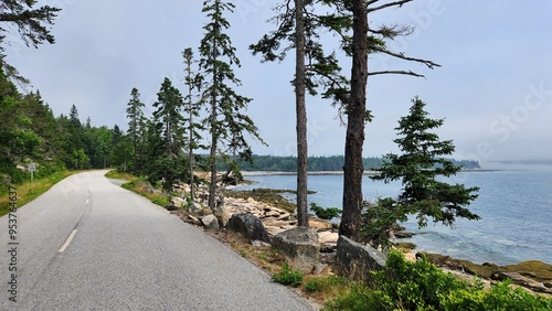 Foggy Morning, Schoodic Peninsula, Maine