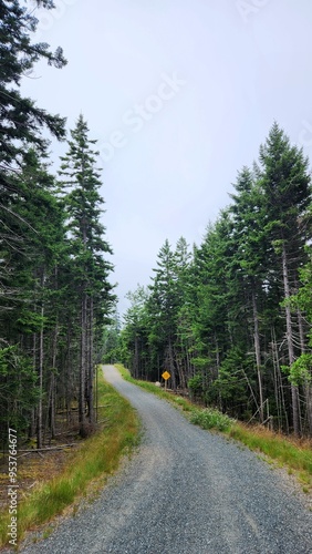 Carriage Road through Acadia National Park, Schoodic Peninsula, Maine