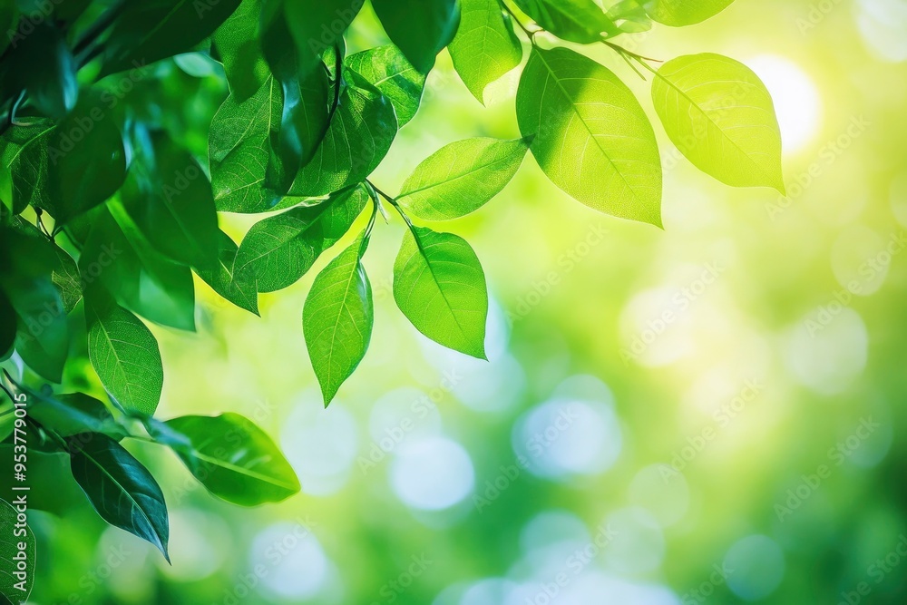 Nature of green leaf in garden at summer. Natural green leaves plants using as spring background cover page greenery environment ecology lime green wallpaper with ai Nature of green leaf in garden at summer. Natural green leaves plants using as spring background cover page greenery environment ecology lime green wallpaper with ai