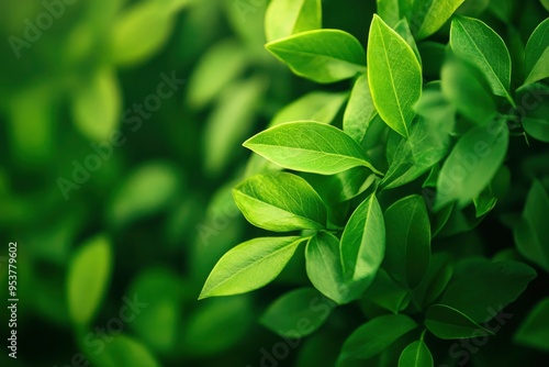 Nature of green leaf in garden at summer. Natural green leaves plants using as spring background cover page greenery environment ecology lime green wallpaper with ai