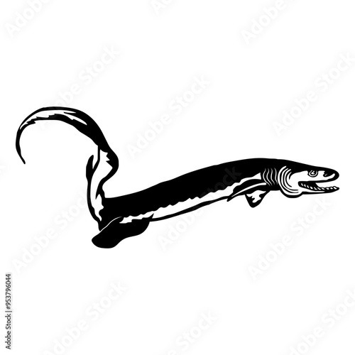 Frilled Shark