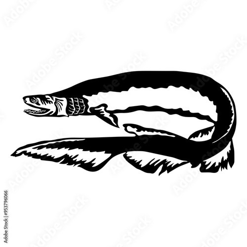Frilled Shark