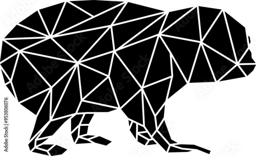 Geometric Slow Loris