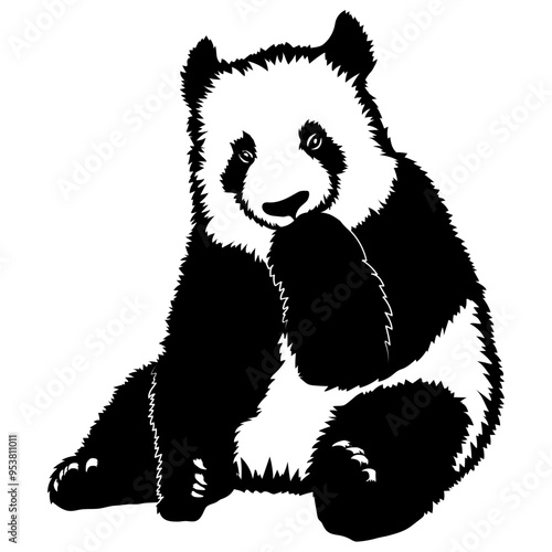 Giant Panda