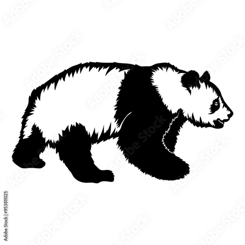 Giant Panda