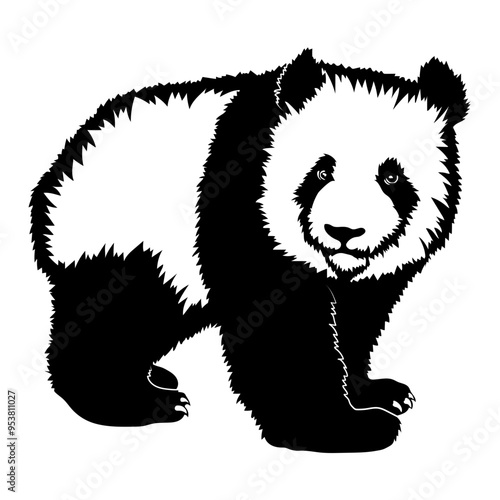 Giant Panda