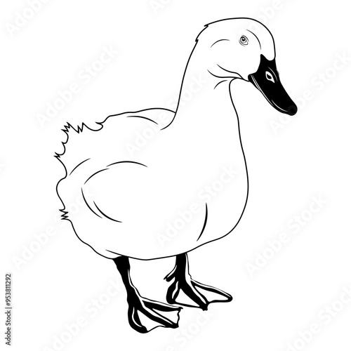 Goose