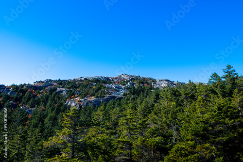 Pine forest and summit of mount Monadnock