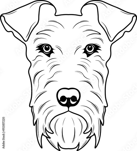 Irish Terrier