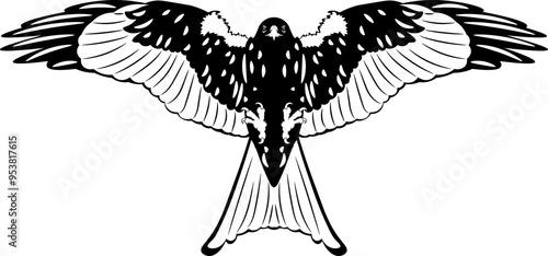 Kite