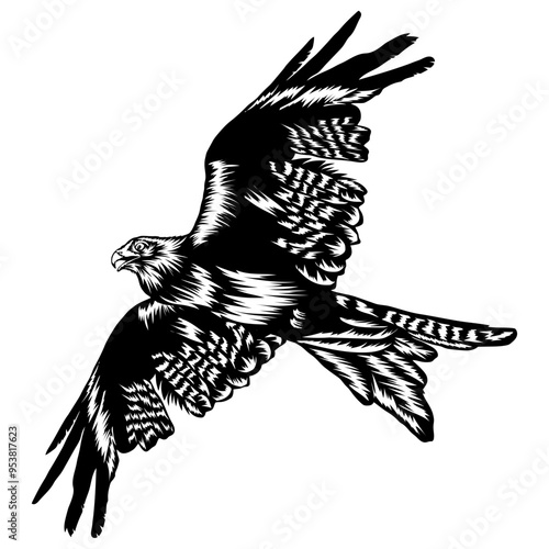 Kite