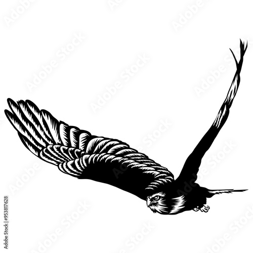 Kite