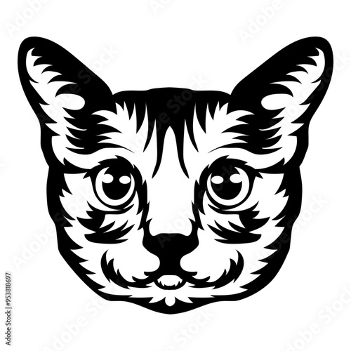 Korat Cat Face