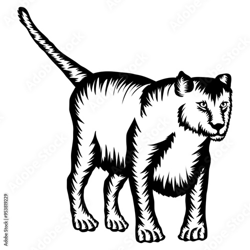 Liger