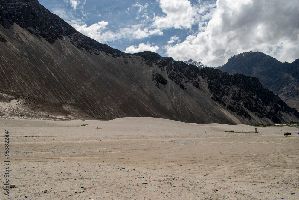 Beautiful landscape view of Nubea Valley leh Ladakh India Beautiful landscape view of Nubea Valley leh Ladakh India