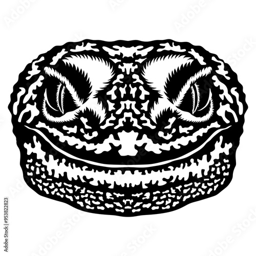 Lizard Face
