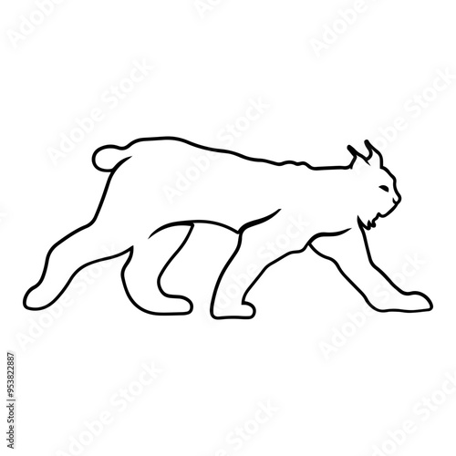 Lynx Side View Outline