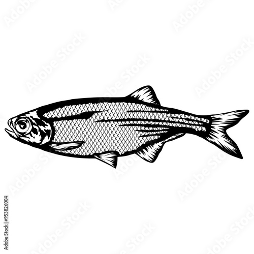Mooneye  Fish