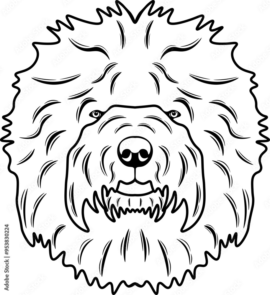 Old English Sheepdog Old English Sheepdog