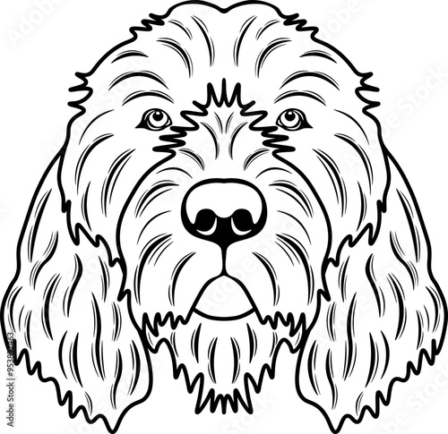 Otterhound