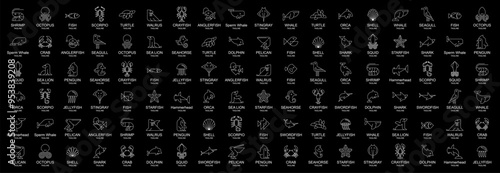 Animals logos collection. Animal logo set. Icon design