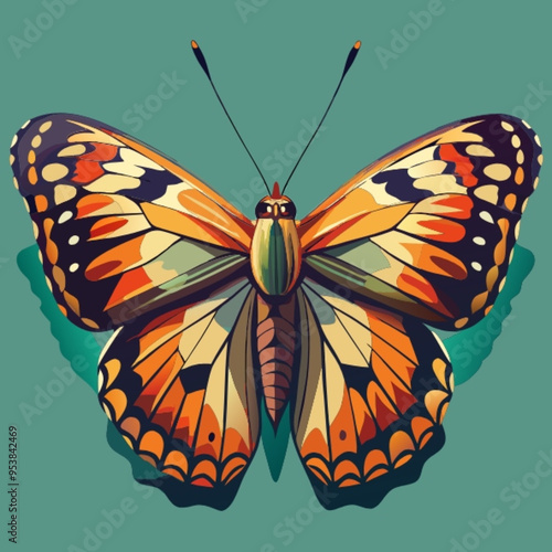 butterfly isolated on white background