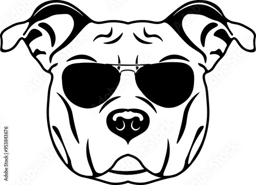 American Staffordshire Terrier In Sunglasses