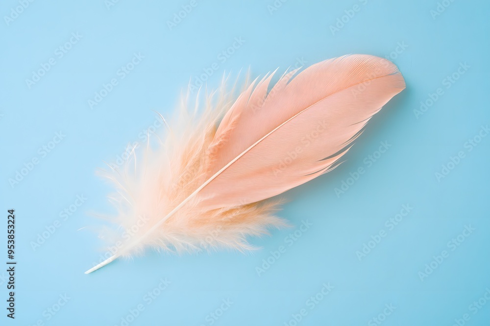 Soft pink feather on blue background, A delicate pink feather resting on a blue background, evoking feelings of softness and tranquility. Perfect for themes of nature, beauty, and simplicity. Soft pink feather on blue background, A delicate pink feather resting on a blue background, evoking feelings of softness and tranquility. Perfect for themes of nature, beauty, and simplicity.