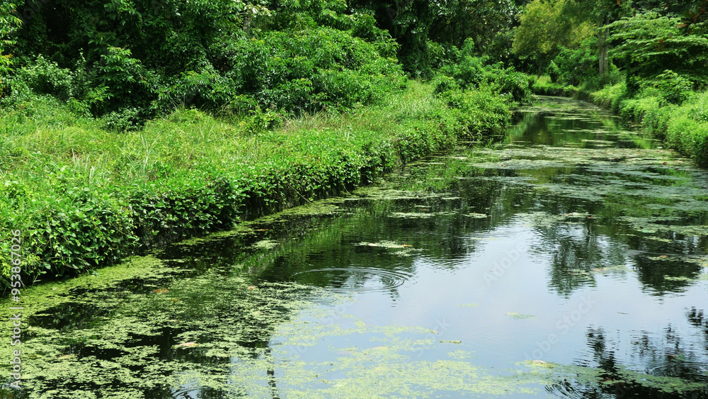 Beautiful Kerala landscape with a calm flowing river Beautiful Kerala landscape with a calm flowing river