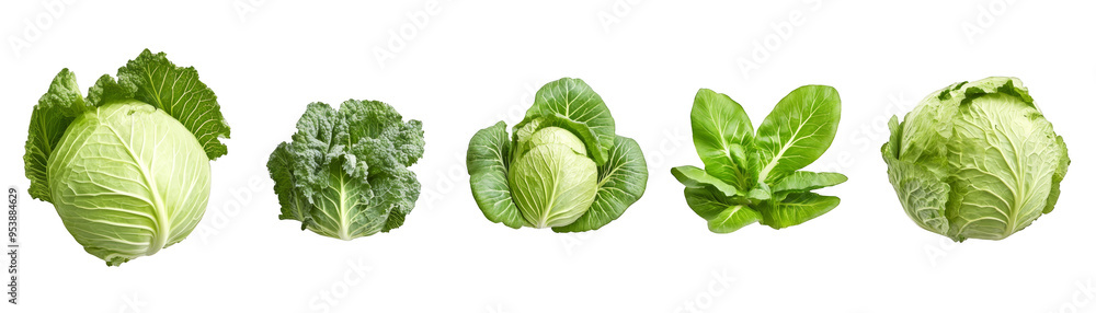 Obraz premium Green cabbage vegetables isolated transparent background