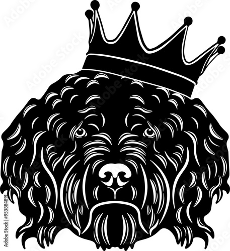 Barbet French Water Dog Wearing A Crown