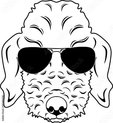 Bedlington Terrier In Sunglasses