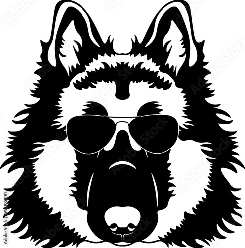 Belgian Tervuren In Sunglasses
