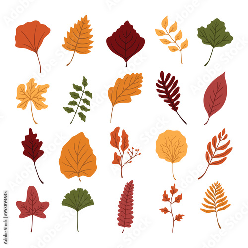 set of autumn leaves vector