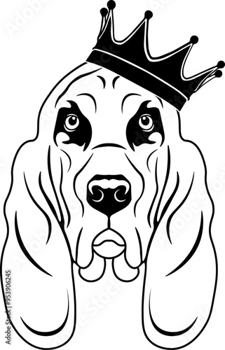 Bloodhound Wearing A Crown