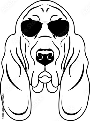 Bloodhound In Sunglasses