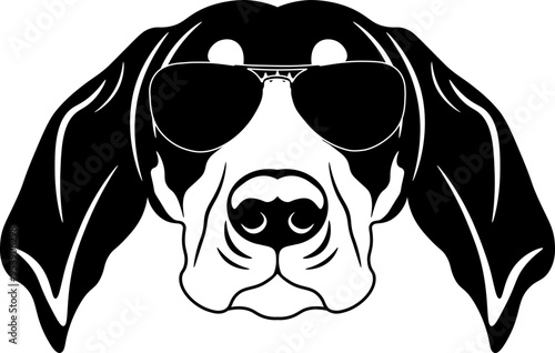 Bluetick Coonhound In Sunglasses