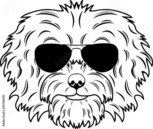 Bolognese In Sunglasses