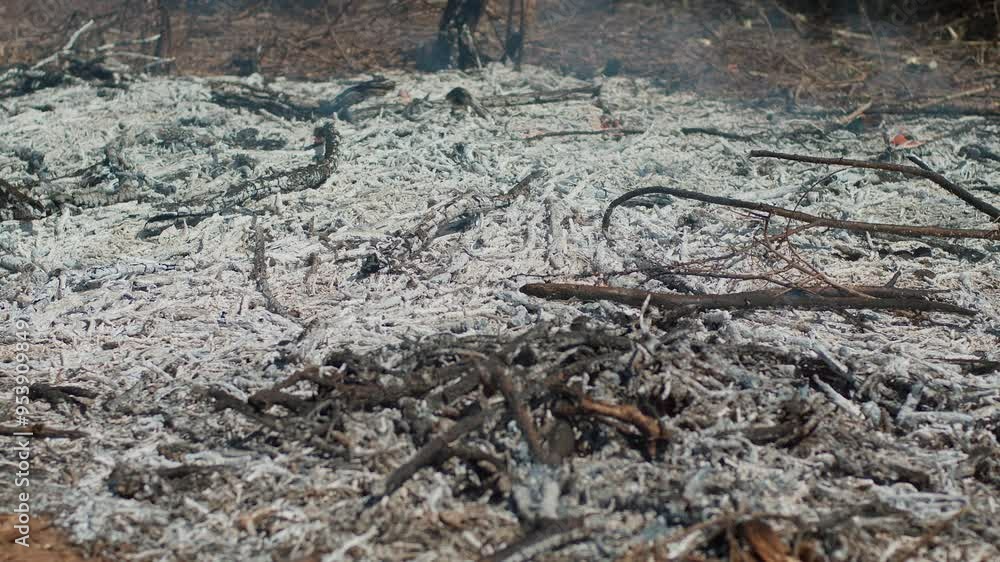 Huge ashes smolders and smokes after burning branches. Small and rare flames still burn at site of large fire Huge ashes smolders and smokes after burning branches. Small and rare flames still burn at site of large fire