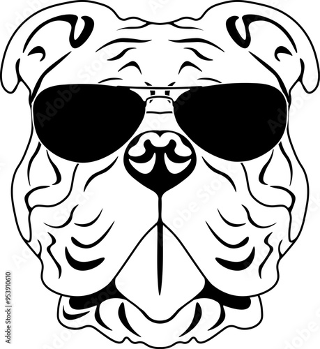 Bulldog In Sunglasses