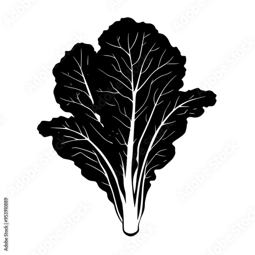 vector silhouette of a Romaine Lettuce