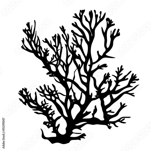 vector silhouette of a Seaweed