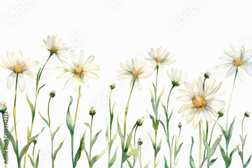 A serene watercolor illustration featuring delicate daisies and lush green stems, perfect for nature-themed designs.